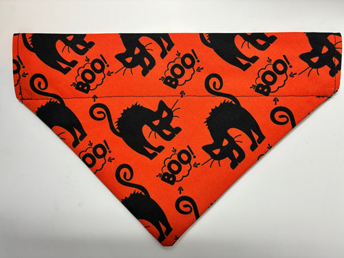 Black Cat Pet Bandana - Size Medium