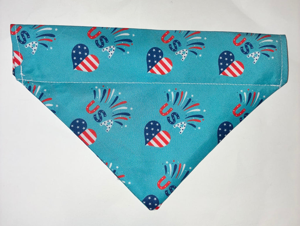 Teal USA Pet Bandana - Size Medium