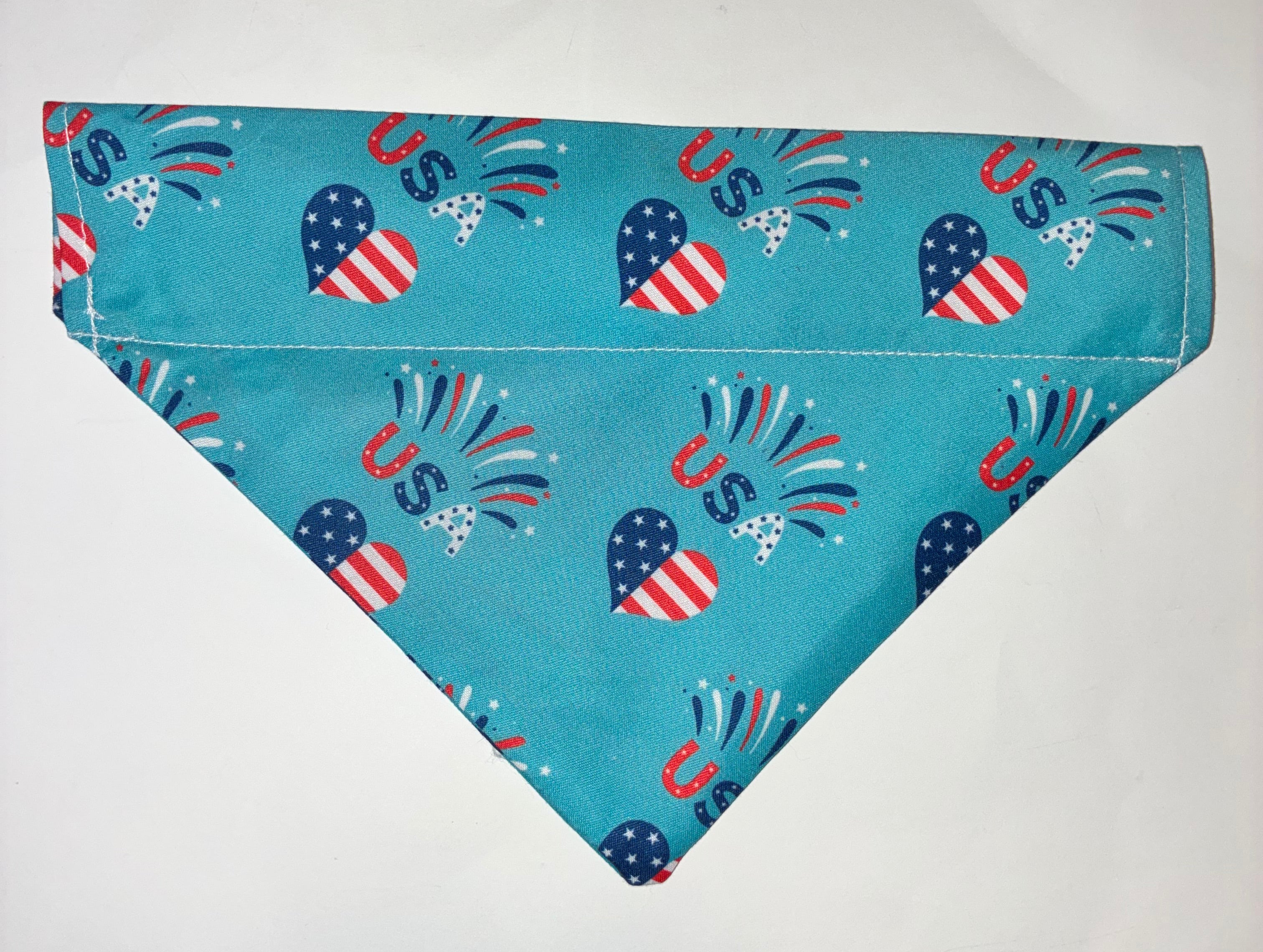 Teal USA Pet Bandana - Size Medium