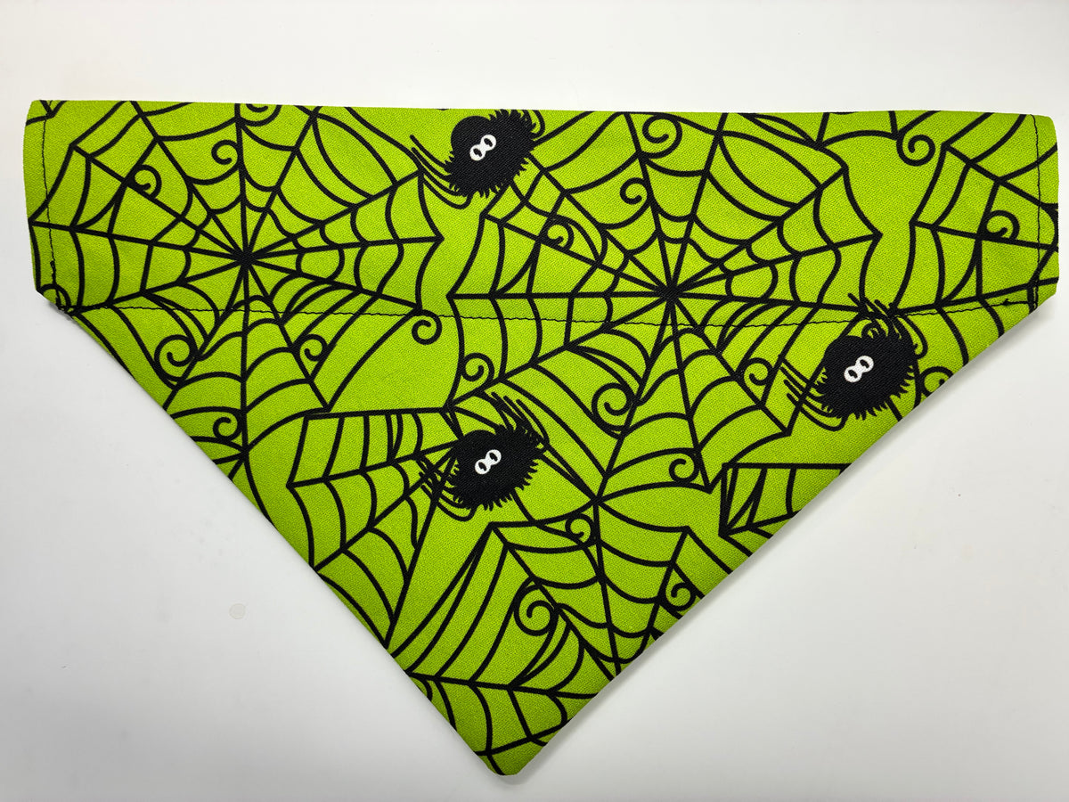 Green Spider Pet Bandana - Size Medium