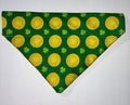 🍀 St. Patrick’s Day Bandana – Medium 🍀
