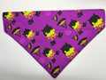 Purple Witch Pet Bandana - Size Medium