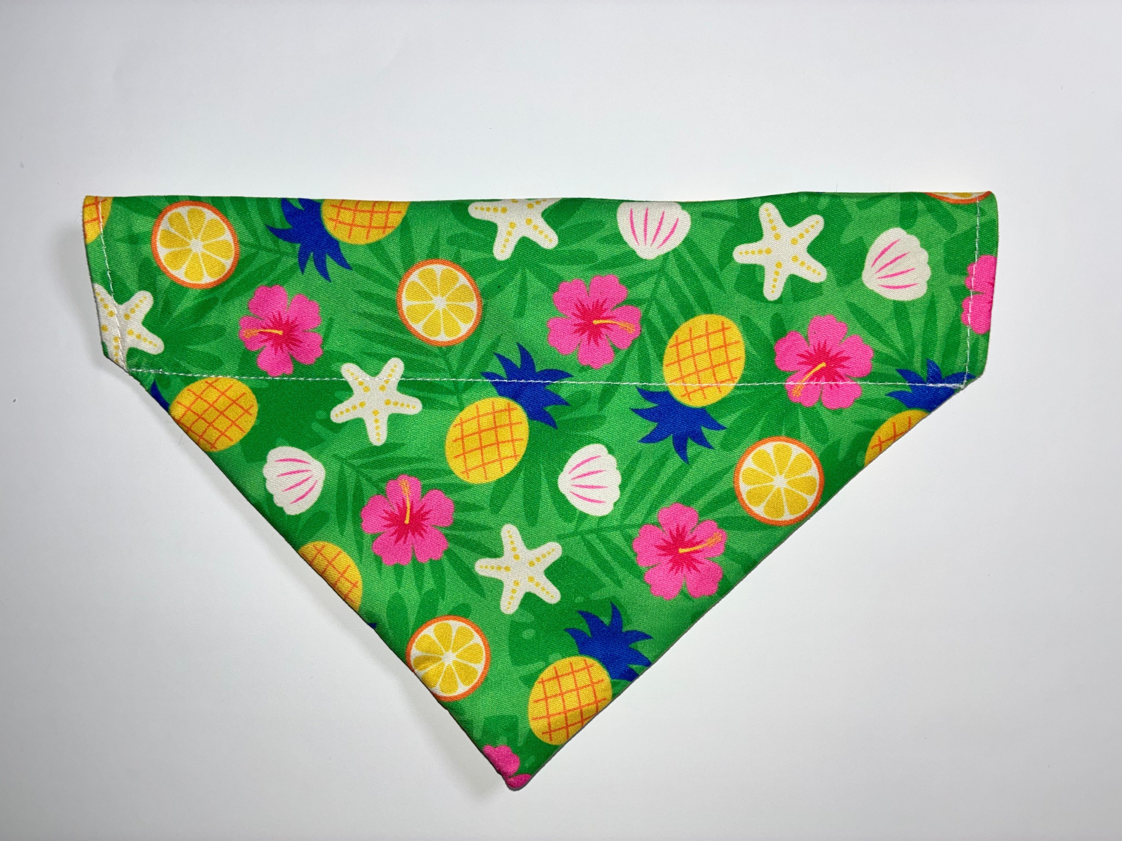 Summer Fruit Pet Bandanas - Size Medium
