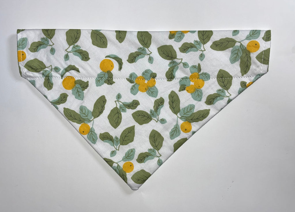 Summer Pet Bandanas - Size Medium