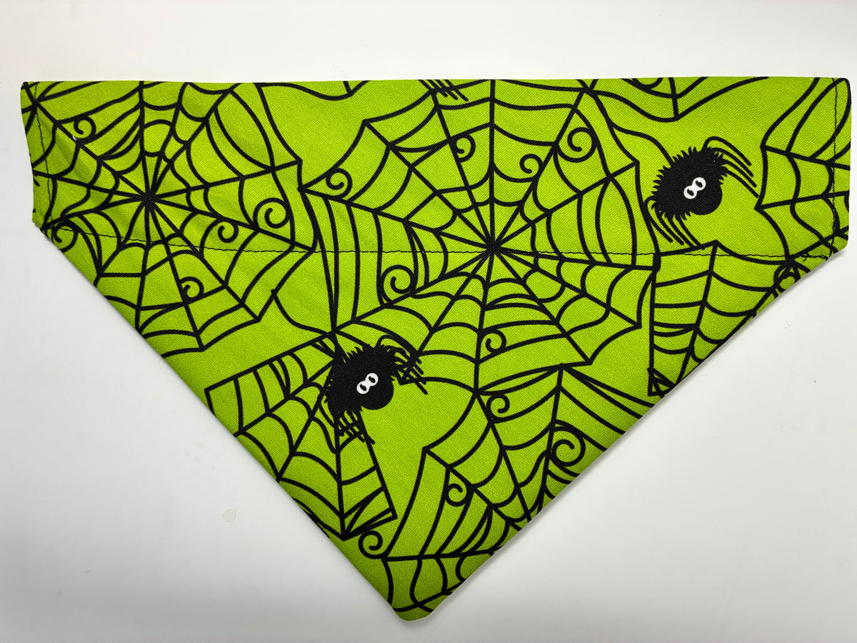 Green Spider Pet Bandana - Size Medium