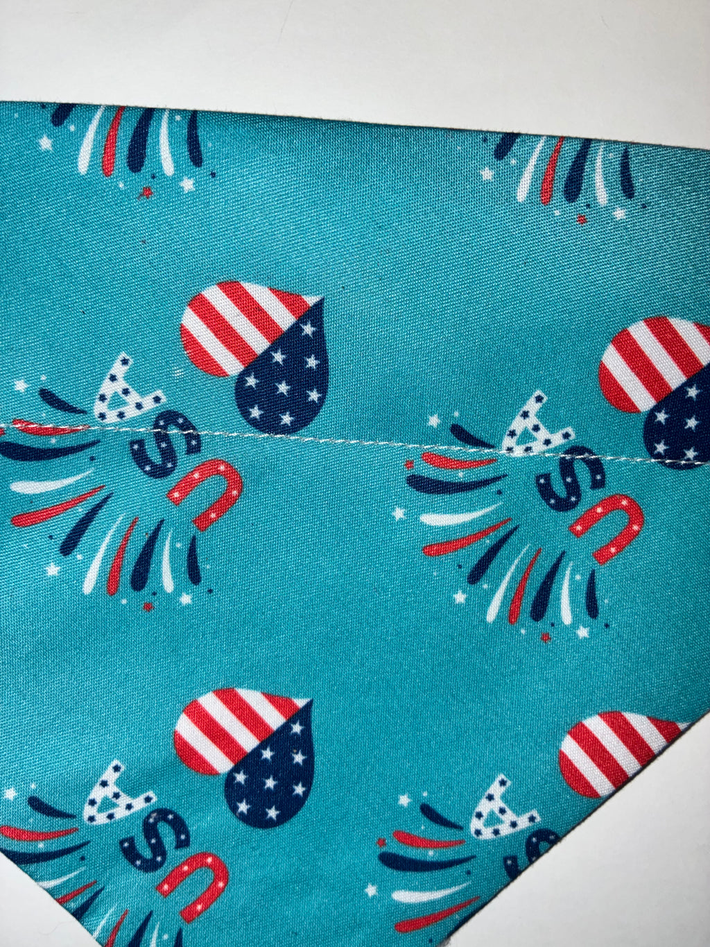 Teal USA Pet Bandana - Size Medium