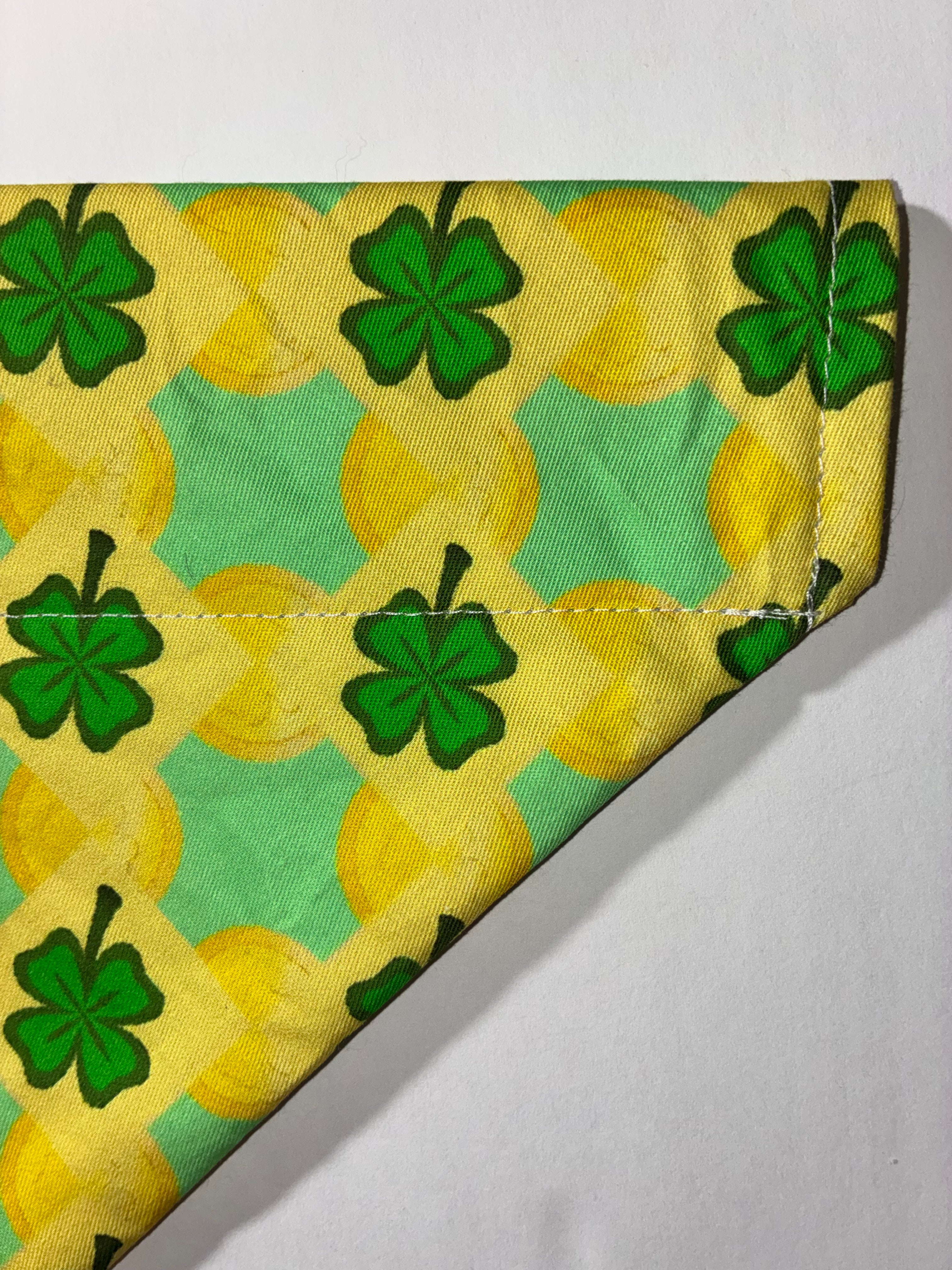 🍀 St. Patrick’s Day Bandana – Medium 🍀