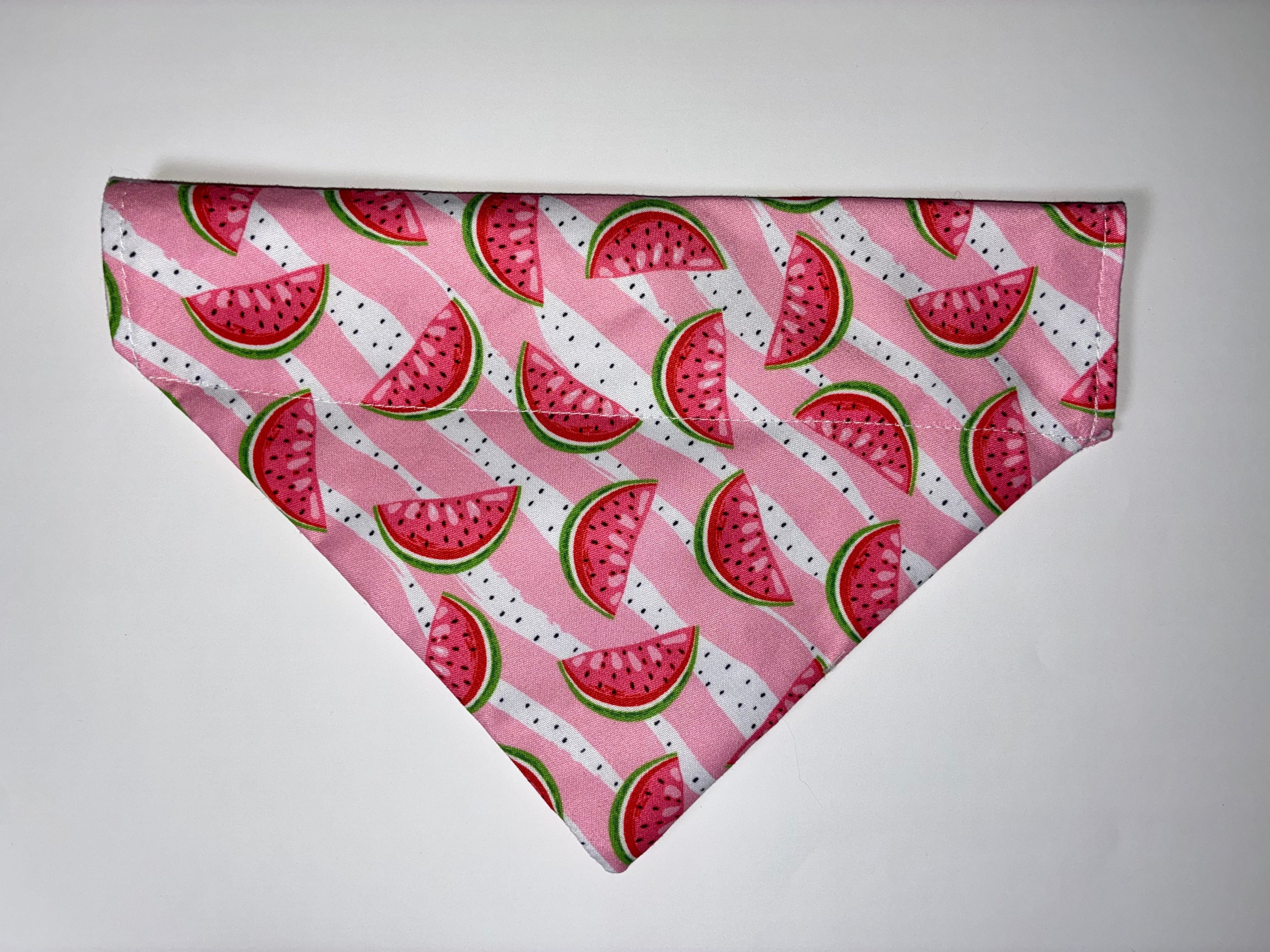Summer Fruit Pet Bandanas - Size Medium