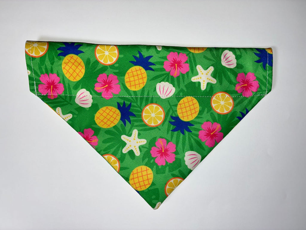 Summer Fruit Pet Bandanas - Size Medium