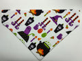 Witches Lair Pet Bandana - Size Medium