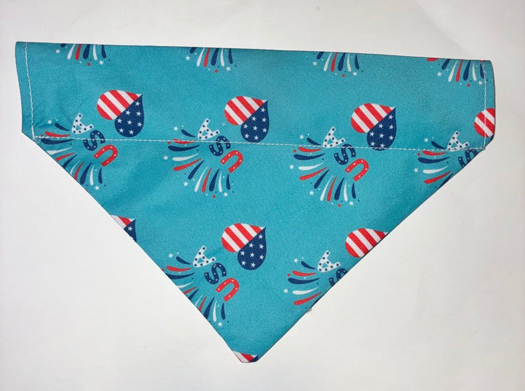 Teal USA Pet Bandana - Size Medium