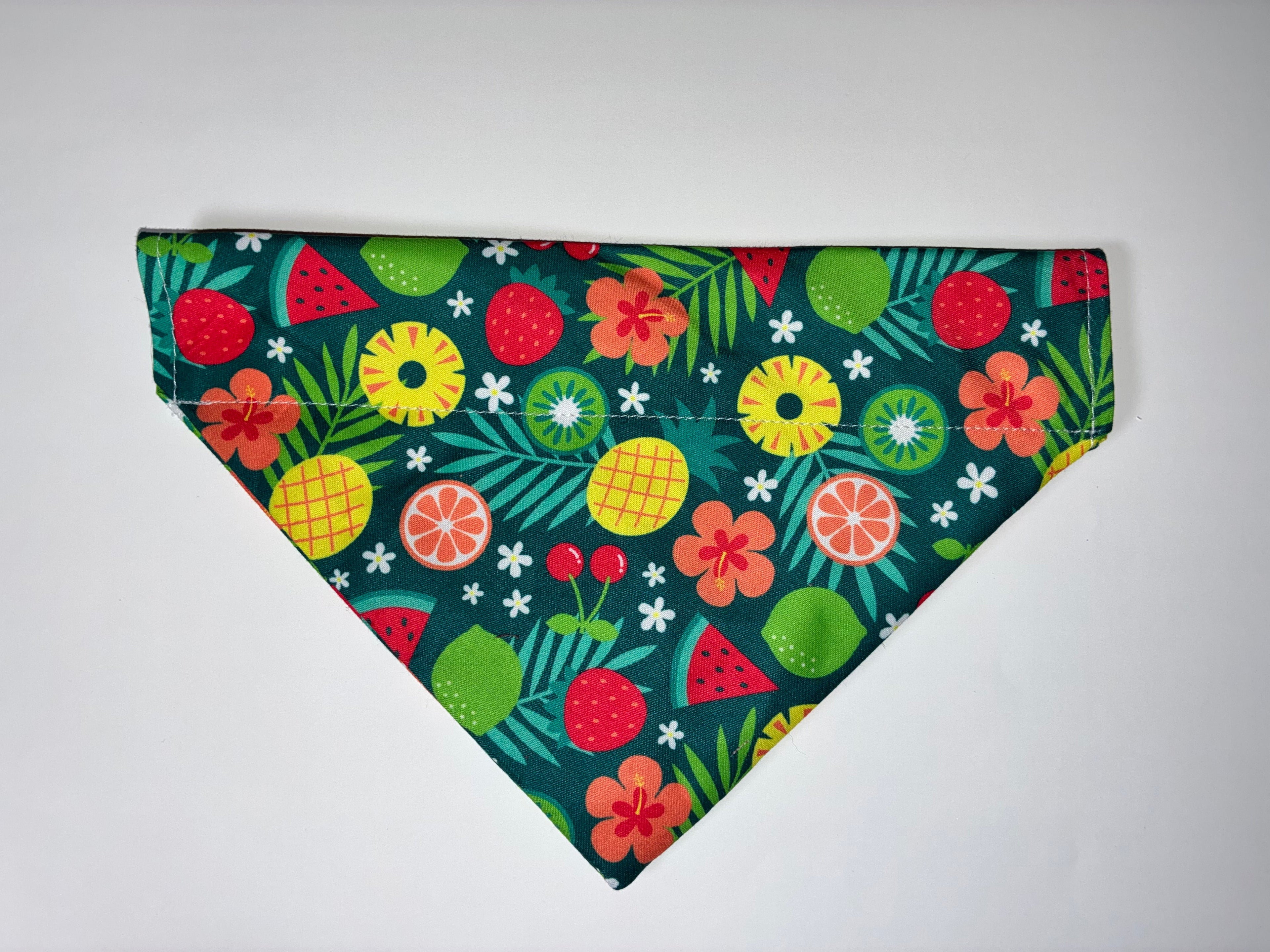 Summer Fruit Pet Bandanas - Size Medium
