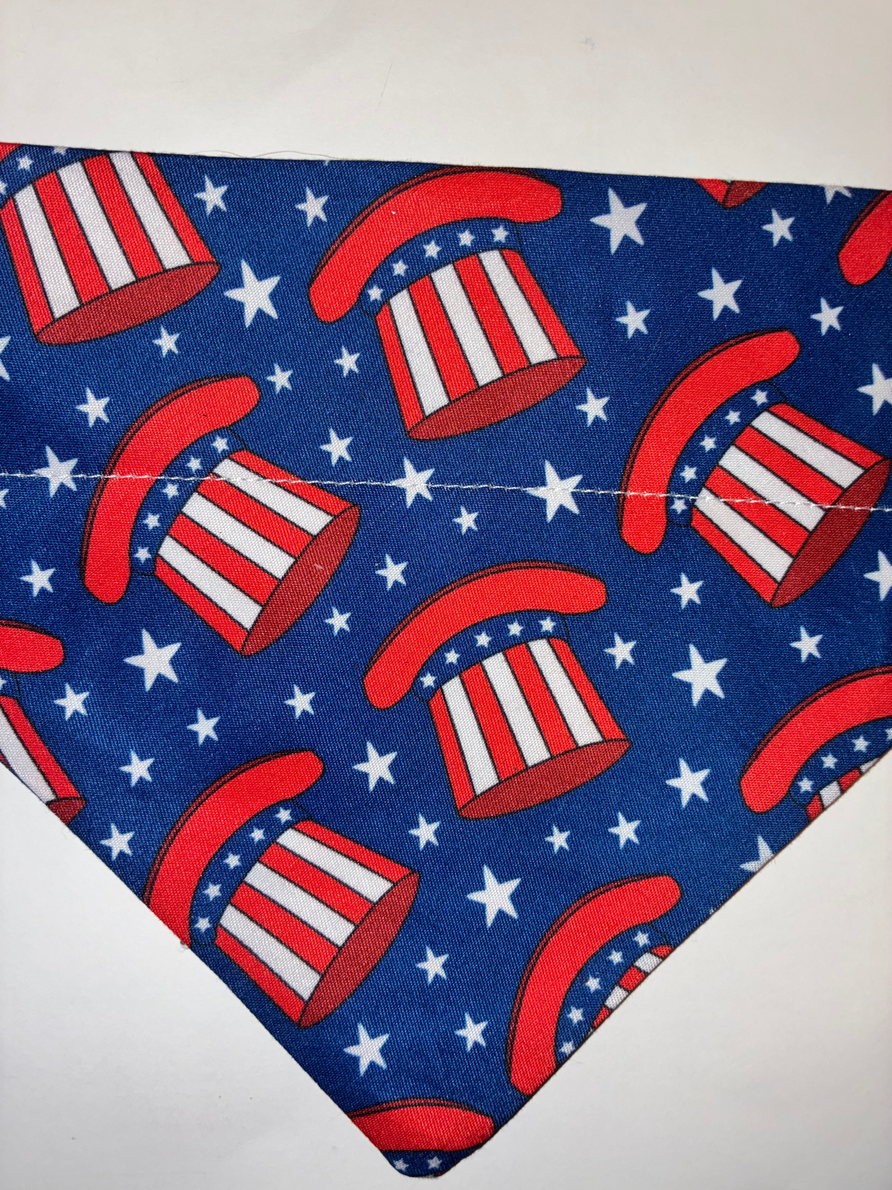 Blue Top Hat Pet Bandana - Size Medium