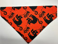 Black Cat Pet Bandana - Size Medium