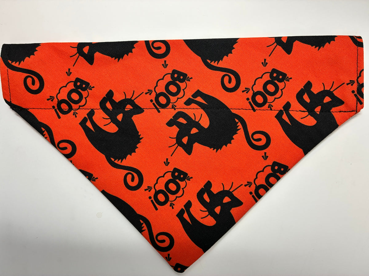 Black Cat Pet Bandana - Size Medium