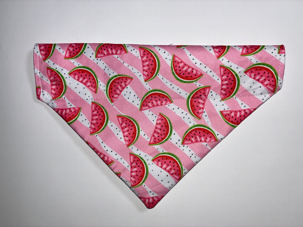 Summer Fruit Pet Bandanas - Size Medium