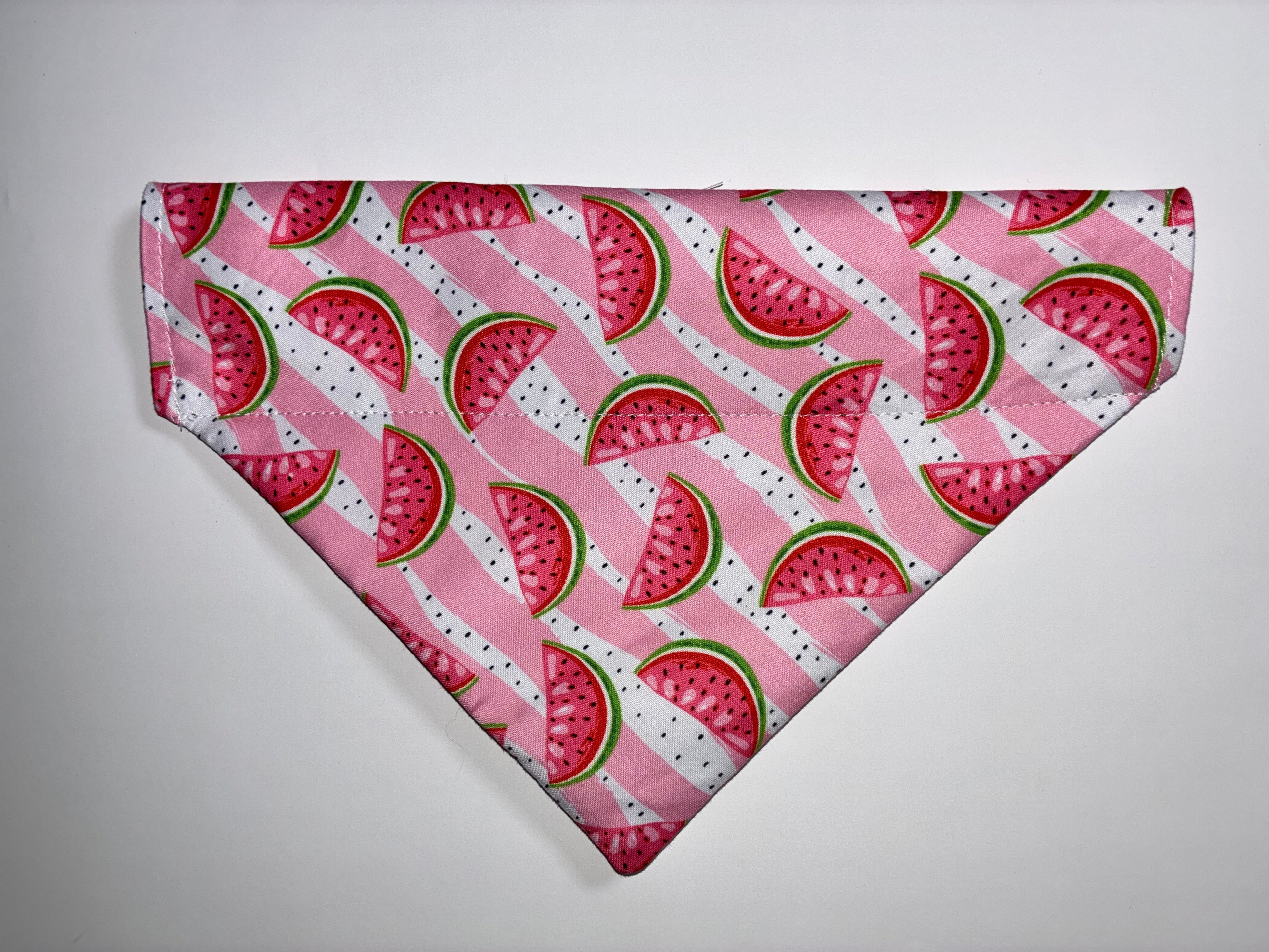 Summer Fruit Pet Bandanas - Size Medium