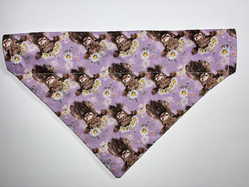 High Cow Set #2 Pet Bandanas - Size Medium
